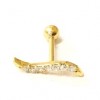 Piercing Zircônias