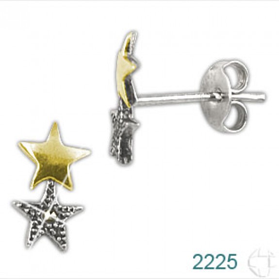 Brinco de Prata   código: 2225