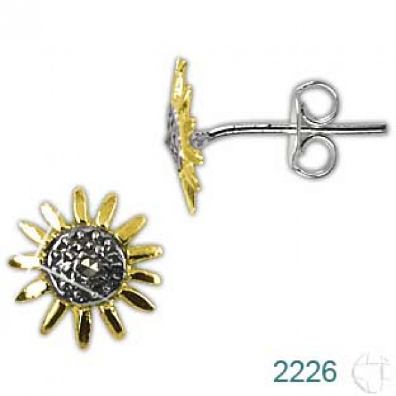 Brinco de Prata   código: 2226