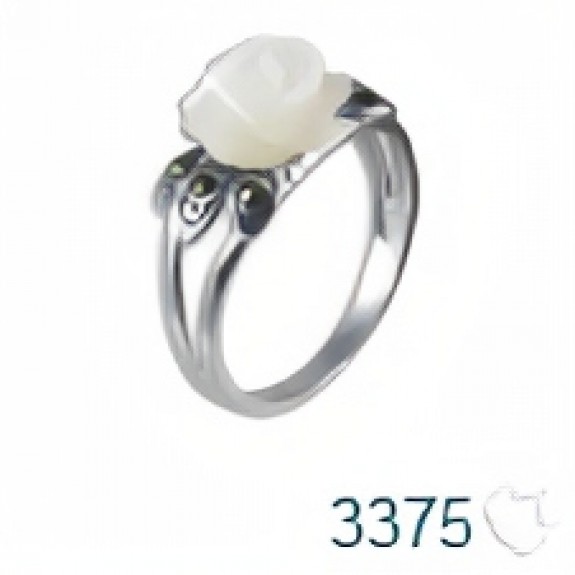 Anel de Prata   código: 3375
