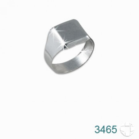 Anel de Prata   código: 3465