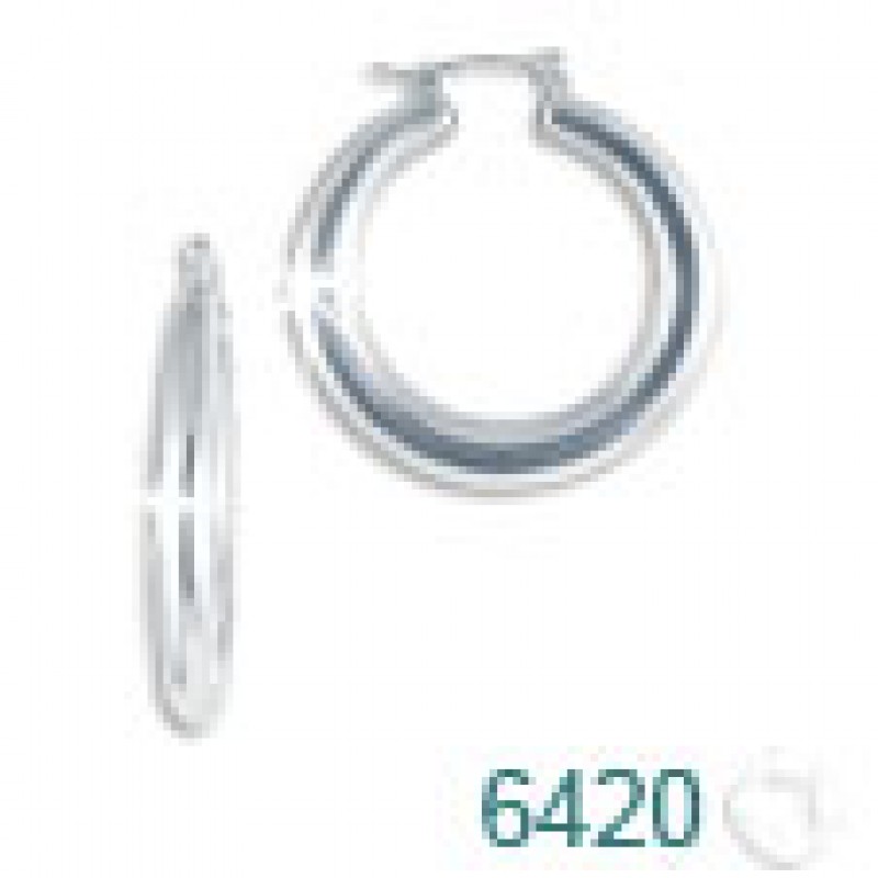 Brinco de Prata   código: 6420