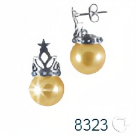 Brinco de Prata   código: 8323
