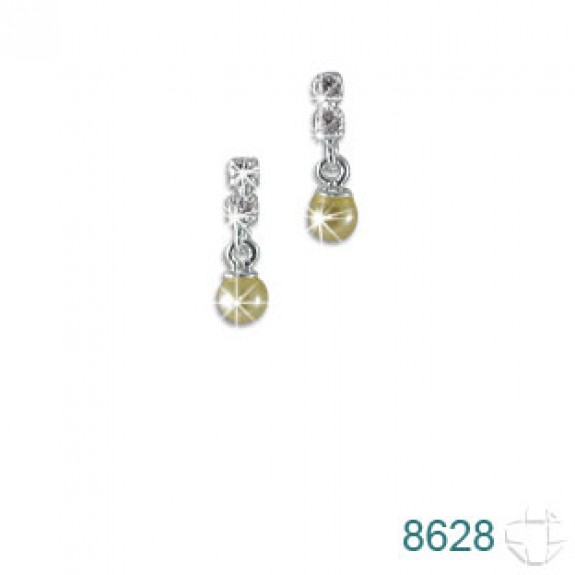 Brinco de Prata   código: 8628