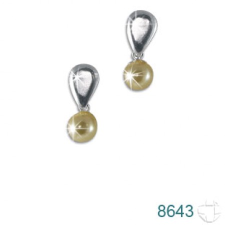Brinco de Prata   código: 8643