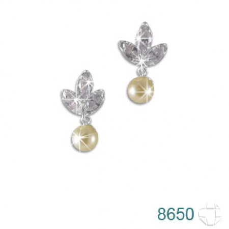Brinco de Prata   código: 8650