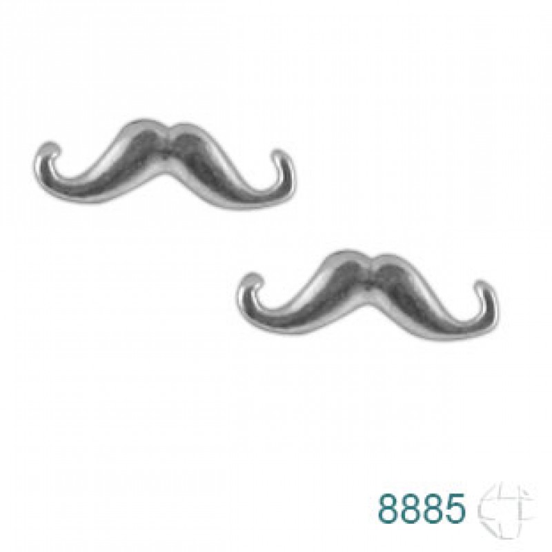 Brinco de Prata   código: 8885